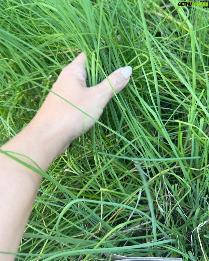 Judith Rakers Instagram - Es gibt bei mir viel ungeeignetere Garten-Outfits als die weissen Sneaker gestern 😂 #homefarming #neonFingerstattgrünerDaumen #funktionierttrotzdem😄