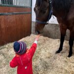 Judith Rakers Instagram - Mein Patenkind E. hat zum ersten Mal Charlie getroffen - in ruhiger Umgebung. Ganz konzentriert. Und Charlie ist so sanft mit ihr und sie mit ihm. Mich rührt das so sehr. Ich kann es kaum in Worte fassen. Für mich sind das kleine Momente des ganz großen Glücks. ❤️ #liebe #vertrauen #lieblingskinder #charliechocolate #meinekleinefarm
