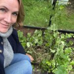 Judith Rakers Instagram - Was habt ihr an diesem verregneten Tag (zumindest in Hamburg plörrte es dauerhaft) gemacht? Ich hab das Gewächshaus aufgeräumt. Die Minigurken geerntet und ins Haus geschleppt… Die Ernte war unfassbar dieses Jahr, weil ich die Minigurken-Pflanzen direkt in den Boden gesetzt habe. Ein ganzer Urwald ist aus zwei Pflanzen entstanden (siehe Schubkarre 😄) Letztes Jahr habe ich die Pflanzen in einem kleinen Anzuchttöpfchen gelassen und so haben sich nur wenige lange Triebe entwickelt, die aber auch toll getragen haben. Ich habe die Minigurke deshalb auch in die Bio-Saatgutboxen für den Balkon und die Wohnung gepackt - weil ihr mit der Größe des Pflanzgefässes die Wurzelgrösse und damit das Pflanzenwachstum steuern könnt. Beide Saatgut-Boxen sind schon ausverkauft, aber wenn das als Weihnachtsgeschenk für euch in Frage kommt, bestelle ich nochmal nach vor dem Frühling… Also, ich finde die Gurken sehr niedlich! 😁 #homefarming #machsdirleckerzuhause #minigurke #dasglückderkleinendinge