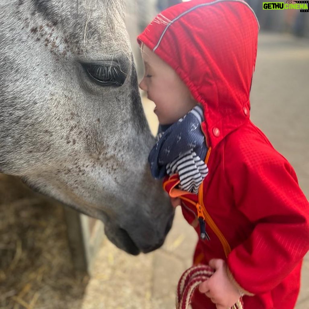 Judith Rakers Instagram - Ich hab ein Pferdemädchen zum Patenkind. Was bin ich froh!!! Wenn sie größer ist, galoppiere ich mit ihr wild über die Stoppelfelder, picknicke mit ihr im Stroh und lache mit ihr über die Pferdeschnute, die gerade Kohlensäuresprudel gespürt hat. Meine kleine, süße E. - du bist das tollste, kleine Pferdemädchen der Welt. Love you a lot (und deine Mama auch - und deinen Papa, der immer über Mädchenkram am Stall geschimpft hat und jetzt selbst rosa Bürsten kauft 😂 ) #grosseLiebe #Patenkind #Pferdemädchen #foreverlove