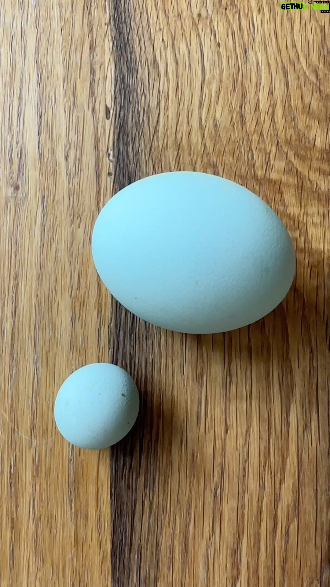 Judith Rakers Instagram - Uups 😄 #kleineüberraschung