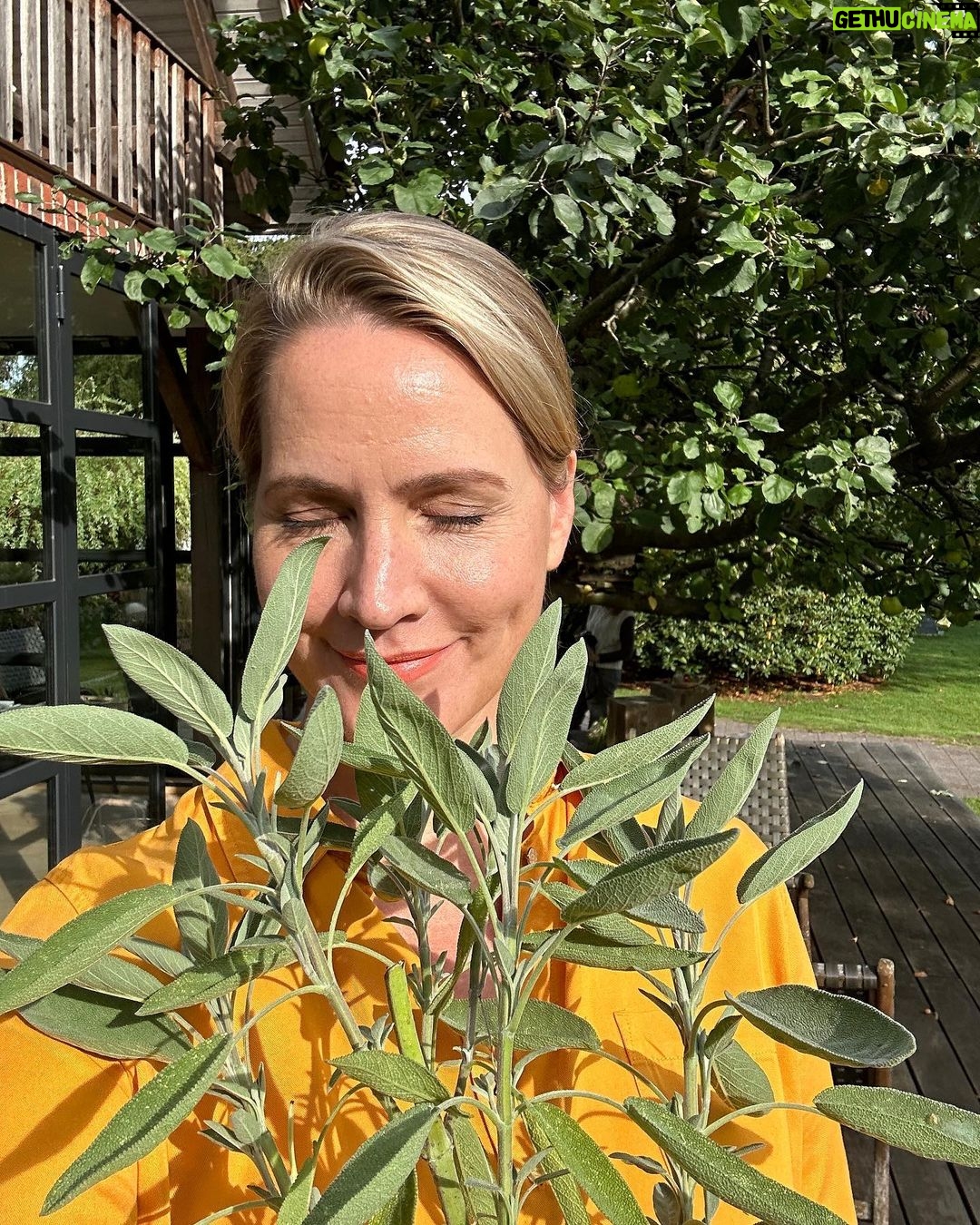 Judith Rakers - 10.9K Likes - Wenn es doch bis zu euch duften könnte… der Salbei im Kräuterbeet ist einfach ein Fest für alle Sinne und hier kommt eine ganz schnelle und einfache Zubereitungsidee: Butter in der Pfanne schmelzen, Knoblauchzehe hineindrücken, Salbeiblätter dazugeben. Derweil Spaghetti al dente kochen. Zur Salbeibutter in die Pfanne tun, durchmischen, Salz und Pfeffer dazu, Parmesan hobeln und ab auf den Tisch mit der Pfanne (wir sind da handfest im Farmteam ;-) Sooo lecker. Ich kann meinen Farmengeln zwar keine Kantine bieten oder schicke Lunch-Restaurants in der Nachbarschaft, aber dafür einen leckeren Garten :-) #homefarming #farmteam #salbei #homegrownfood #machsdirleckerzuhause #leckerarbeiten
