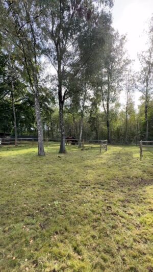 Judith Rakers Instagram - Vor fünf Jahren fasste ich den Entschluss, mein Leben zu ändern und zog raus aufs Land. In ein kleines Paradies. Wie froh ich bin, dass ich den Mut dazu hatte. Momente wie dieser - pures Glück … #meinekleinefarm #vielflauschvielliebe