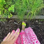 Judith Rakers Instagram - Es gibt bei mir viel ungeeignetere Garten-Outfits als die weissen Sneaker gestern 😂 #homefarming #neonFingerstattgrünerDaumen #funktionierttrotzdem😄