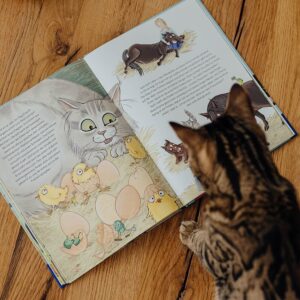 Judith Rakers Instagram - Montag erscheint mein neues Buch 💚… Und ich bin so gespannt, wie ihr es findet. Zum ersten Mal habe ich für kleine Leserinnen und Leser geschrieben - über meine kleine Farm, die Tiere dort und über den Gemüseanbau. Es ist die Geschichte von meinem Kater Jack - wie er zu mir auf die Farm kam und hier alles entdeckte. Genauso wie ich, die ja auch erstmal viel lernen musste über den Gemüseanbau, die Hühner und den Garten. Ich wollte ein liebevolles Buch schreiben - voller Respekt für die Tiere und die Natur. Eine unterhaltsame Geschichte, bei der Kinder ganz viel lernen und entdecken können. @julia.weinmann hat meine Geschichte so wunderschön  illustriert, dass ich gar nicht glauben kann, was für ein schönes Buch hier entstanden ist. Wir haben das gesamte vergangene Jahr daran gearbeitet und jetzt ist es da 😍. Meine Güte, was für ein Gefühl. Ich weiß noch, wie ich das erste Wort in den Computer tippte… Und nun bin ich so gespannt, wie ihr Jacks Geschichte findet - ihr kennt ja alle Tiere schon von Instagram: Jack und Lotti, Pferd Sazou, Fohlen Charlie, Maulwurf Günter und die Chicken-Gang. Das Buch gibt es überall, wo es Bücher gibt (und in meinem Farmshop sogar mit Signatur). #Kinderbuch #Homefarming #judithskleineFarm #KaterJacksuchteinenFreund #JacktheSwiffer  #Sachbilderbuch #Natur #Garten
