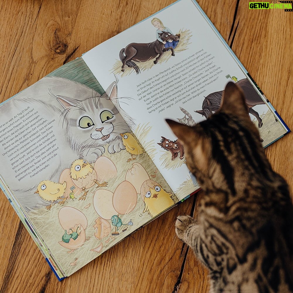 Judith Rakers - 19.9K Likes - Montag erscheint mein neues Buch 💚… Und ich bin so gespannt, wie ihr es findet. Zum ersten Mal habe ich für kleine Leserinnen und Leser geschrieben - über meine kleine Farm, die Tiere dort und über den Gemüseanbau. Es ist die Geschichte von meinem Kater Jack - wie er zu mir auf die Farm kam und hier alles entdeckte. Genauso wie ich, die ja auch erstmal viel lernen musste über den Gemüseanbau, die Hühner und den Garten. Ich wollte ein liebevolles Buch schreiben - voller Respekt für die Tiere und die Natur. Eine unterhaltsame Geschichte, bei der Kinder ganz viel lernen und entdecken können. @julia.weinmann hat meine Geschichte so wunderschön illustriert, dass ich gar nicht glauben kann, was für ein schönes Buch hier entstanden ist. Wir haben das gesamte vergangene Jahr daran gearbeitet und jetzt ist es da 😍. Meine Güte, was für ein Gefühl. Ich weiß noch, wie ich das erste Wort in den Computer tippte… Und nun bin ich so gespannt, wie ihr Jacks Geschichte findet - ihr kennt ja alle Tiere schon von Instagram: Jack und Lotti, Pferd Sazou, Fohlen Charlie, Maulwurf Günter und die Chicken-Gang. Das Buch gibt es überall, wo es Bücher gibt (und in meinem Farmshop sogar mit Signatur). #Kinderbuch #Homefarming #judithskleineFarm #KaterJacksuchteinenFreund #JacktheSwiffer #Sachbilderbuch #Natur #Garten