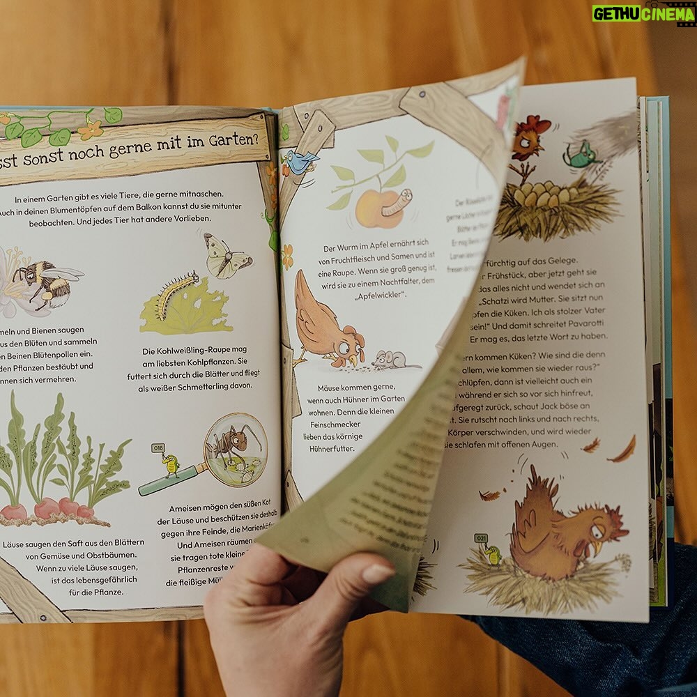Judith Rakers - 19.9K Likes - Montag erscheint mein neues Buch 💚… Und ich bin so gespannt, wie ihr es findet. Zum ersten Mal habe ich für kleine Leserinnen und Leser geschrieben - über meine kleine Farm, die Tiere dort und über den Gemüseanbau. Es ist die Geschichte von meinem Kater Jack - wie er zu mir auf die Farm kam und hier alles entdeckte. Genauso wie ich, die ja auch erstmal viel lernen musste über den Gemüseanbau, die Hühner und den Garten. Ich wollte ein liebevolles Buch schreiben - voller Respekt für die Tiere und die Natur. Eine unterhaltsame Geschichte, bei der Kinder ganz viel lernen und entdecken können. @julia.weinmann hat meine Geschichte so wunderschön illustriert, dass ich gar nicht glauben kann, was für ein schönes Buch hier entstanden ist. Wir haben das gesamte vergangene Jahr daran gearbeitet und jetzt ist es da 😍. Meine Güte, was für ein Gefühl. Ich weiß noch, wie ich das erste Wort in den Computer tippte… Und nun bin ich so gespannt, wie ihr Jacks Geschichte findet - ihr kennt ja alle Tiere schon von Instagram: Jack und Lotti, Pferd Sazou, Fohlen Charlie, Maulwurf Günter und die Chicken-Gang. Das Buch gibt es überall, wo es Bücher gibt (und in meinem Farmshop sogar mit Signatur). #Kinderbuch #Homefarming #judithskleineFarm #KaterJacksuchteinenFreund #JacktheSwiffer #Sachbilderbuch #Natur #Garten