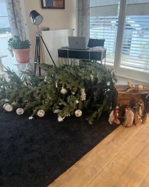 Judith Rakers Instagram - Auf dem Weg zu meinen Eltern für das gemeinsame Heiligabend-Essen erreichte mich gerade dieses Foto mit folgendem Text: „Das Werk von Romy : ein gebrochener Engel, 3 kaputte Kugeln und die Geschenke der Könige sind auch hin 🤷‍♀️“ Zur Erklärung: Romy ist die Katze. Ein Lotti-Baby. 😂 Frohe Weihnachten euch allen. Bei uns wieder Viecher-Chaos. Ich LIEBE es!!!!! #froheweihnachten🎄
