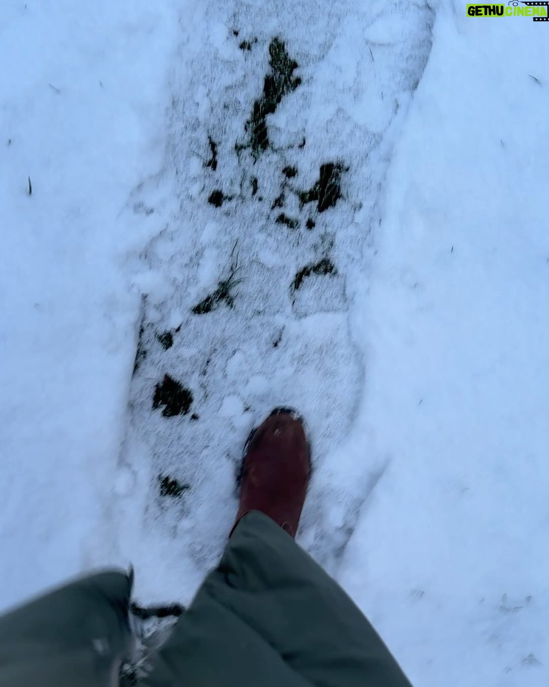 Judith Rakers Instagram - Kleine Farm - seit heute eingeschneit ;-) Und bei euch? #meinekleinewinterfarm