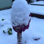 Judith Rakers Instagram - Kleine Farm - seit heute eingeschneit ;-) Und bei euch? #meinekleinewinterfarm