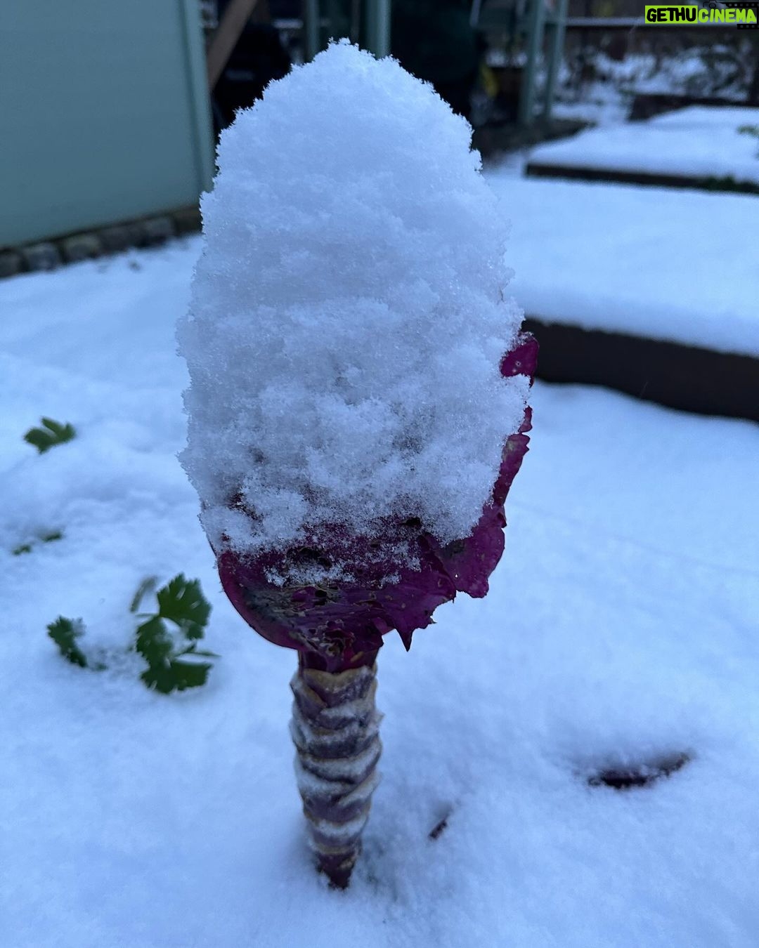 Judith Rakers Instagram - Kleine Farm - seit heute eingeschneit ;-) Und bei euch? #meinekleinewinterfarm
