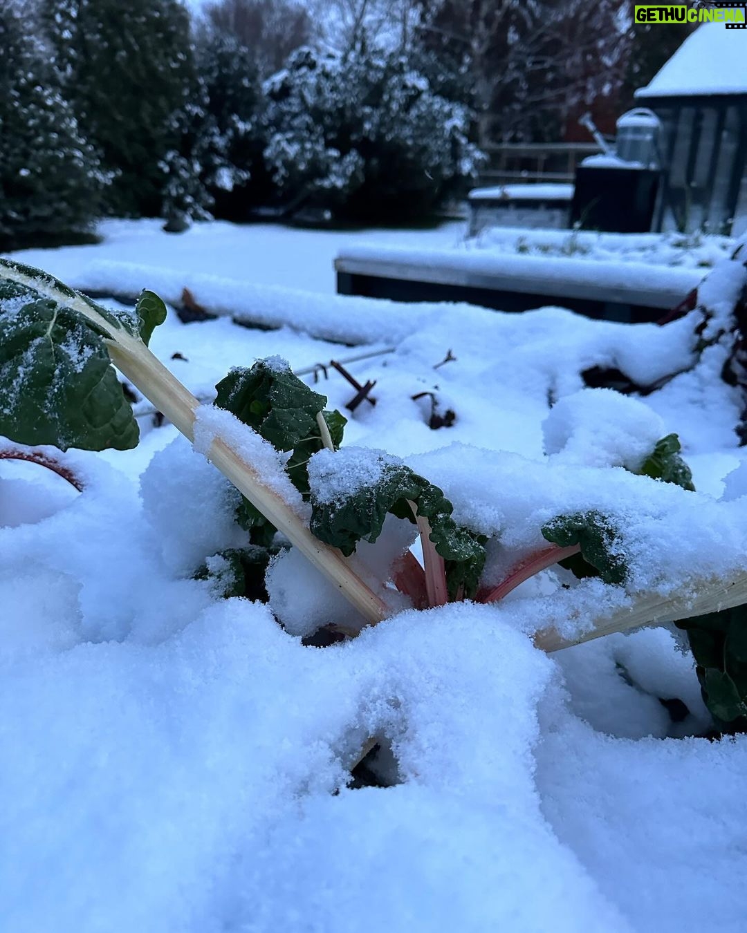 Judith Rakers Instagram - Kleine Farm - seit heute eingeschneit ;-) Und bei euch? #meinekleinewinterfarm