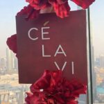 Julia Samantha Edima Instagram - If you change the way you look at things, the things you look at change. 💫 #bestview #dubai Dubai...U.A.E