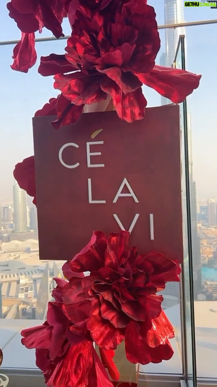 Julia Samantha Edima Instagram - If you change the way you look at things, the things you look at change. 💫 #bestview #dubai Dubai...U.A.E