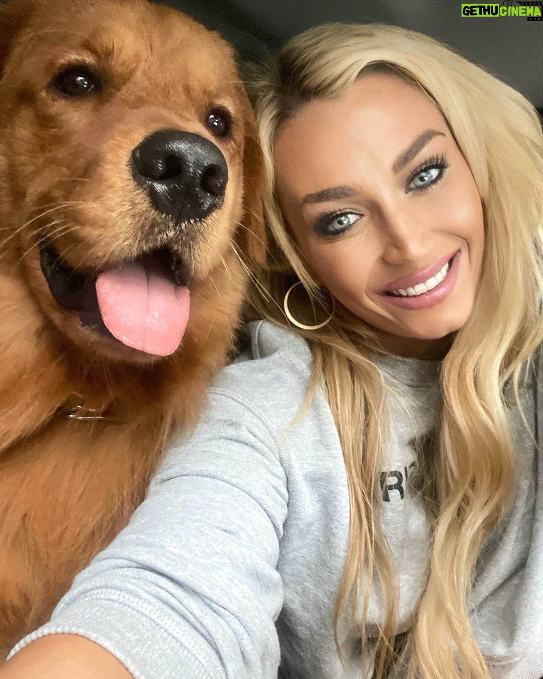 Julian Daigre Instagram - Happy 1st Birthday, Bentley boy ❤️ it seems like yesterday when you were just a little floof 🥺 Mawm and dad love ya so much! Cheers to all the treetos you’ll get today!