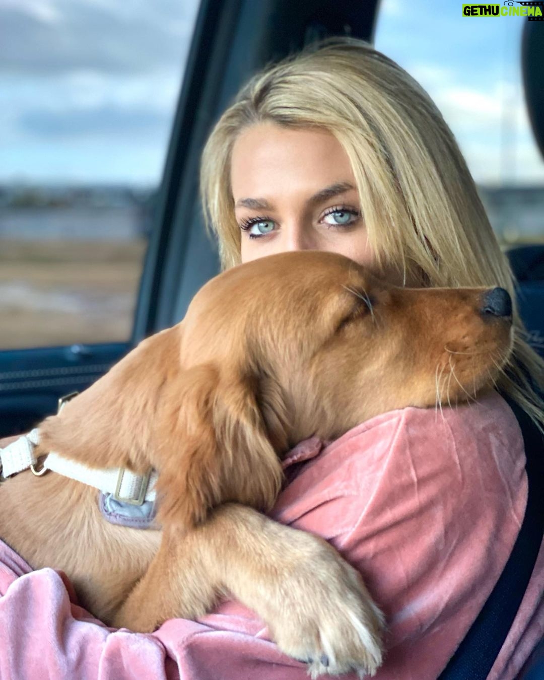 Julian Daigre Instagram - Happy 1st Birthday, Bentley boy ❤️ it seems like yesterday when you were just a little floof 🥺 Mawm and dad love ya so much! Cheers to all the treetos you’ll get today!