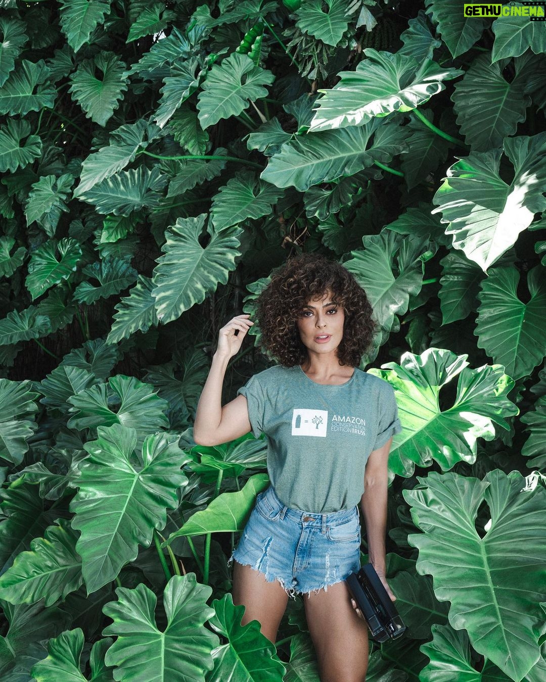 Juliana Paes Instagram - O que podemos fazer pelo planeta? O primeiro passo é ter consciência sobre nosso impacto ambiental. Nos últimos anos, a maior floresta tropical do mundo sofre com níveis alarmantes de desmatamento. Promover a conservação da biodiversidade é um compromisso de todos, e a @trusshair faz parte dessa ação. A marca destina parte da renda obtida com as vendas da linha Equilibrium ao @institutoipe . O IPÊ (Instituto de Pesquisas Ecológicas) vai implementar um projeto piloto de restauração ambiental no Baixo Rio Negro, Amazonas. Com o apoio do IPÊ e das comunidades locais, a Truss ajuda a semear mais vida na Amazônia, fortalecendo seus maiores guardiões: as pessoas que vivem na floresta. Você pode fazer parte desse movimento. Encontre os produtos da Linha Equilibrium no site da Truss e nos melhores salões do Brasil. Você vai ver como é possível gerar desenvolvimento sendo sustentável. Dê uma olhada nas redes da Truss durante esse mês pra conferir mais ações. Truss cuida de você e cuida da Amazônia. #TrussCuidandoDeVocêEDaAmazônia #amazonconservationeditiontruss #meioambientetruss #amazontruss | publicidade