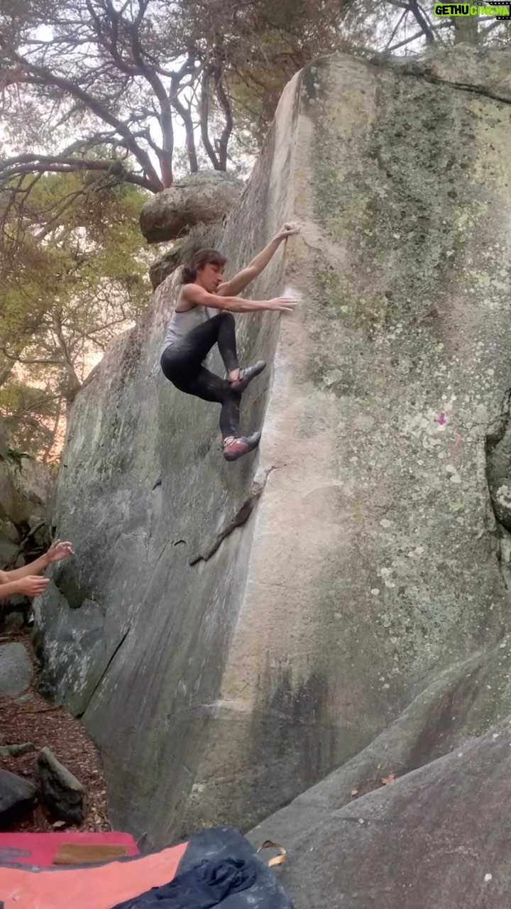 Juliane Wurm Instagram - Reflecting on the beauty of a crisp autumn day in Fontainebleau! My fingers are itching for some rock time soooooon :) @mammut_swiss1862 @madrockclimbing