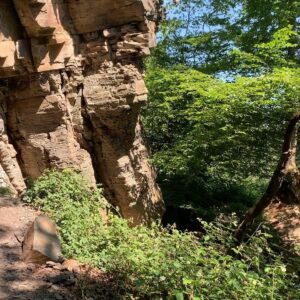 Juliane Wurm Instagram - #localadventurechallenge 
It was a strange time sitting at home for several weeks during the lockdown, looking for new activities that can be done at home, only seeing friends and family on the phone and not being able to climb. When lockdown was loosened and it was allowed to climb outside again, I drove to Ruhrtal (1 hr from Cologne) for an exciting mini-adventure and had a wonderful day in the nature! Sometimes great adventures are just around the corner wherever we live :) 🌳☀️
Check out the @mammut_swiss1862 page if you want to take part in the #localadventurechallenge! Have fun!! You can find the link in my bio as well :)