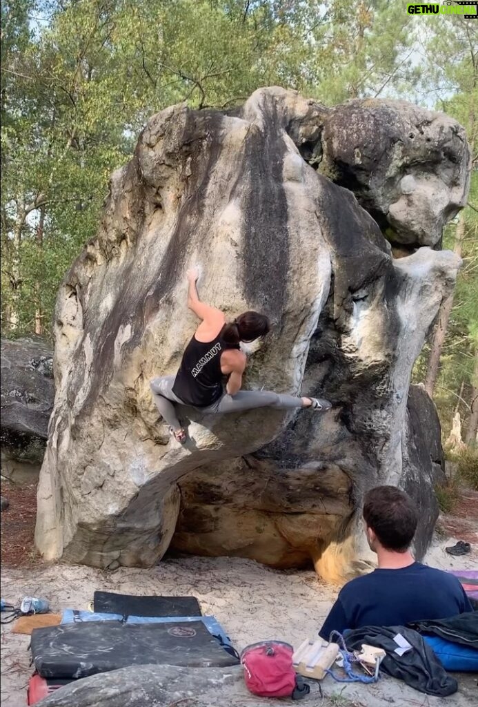 Juliane Wurm Instagram - Some people go to Fontainebleau to buy asian vases for a couple million euros on auctions, I go there to hug boulders :) [retour aux sources]