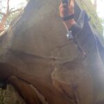 Juliane Wurm Instagram – Beautiful weekend in Fontainebleau with a mix between trying harder boulders, finding projects, doing a circuit, enjoying summery weather, baguette & cheese and most of all good company 😍. 
@mammut_swiss1862 @madrockclimbing