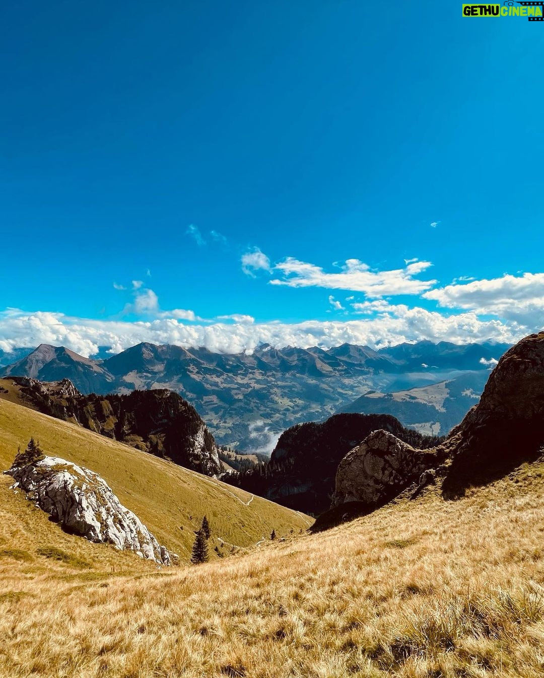 Juliane Wurm Instagram - Late summer dump featuring icecream, mountain hikes, hospital shifts, growing bellies, and indoor sessions! Fribourg, Switzerland