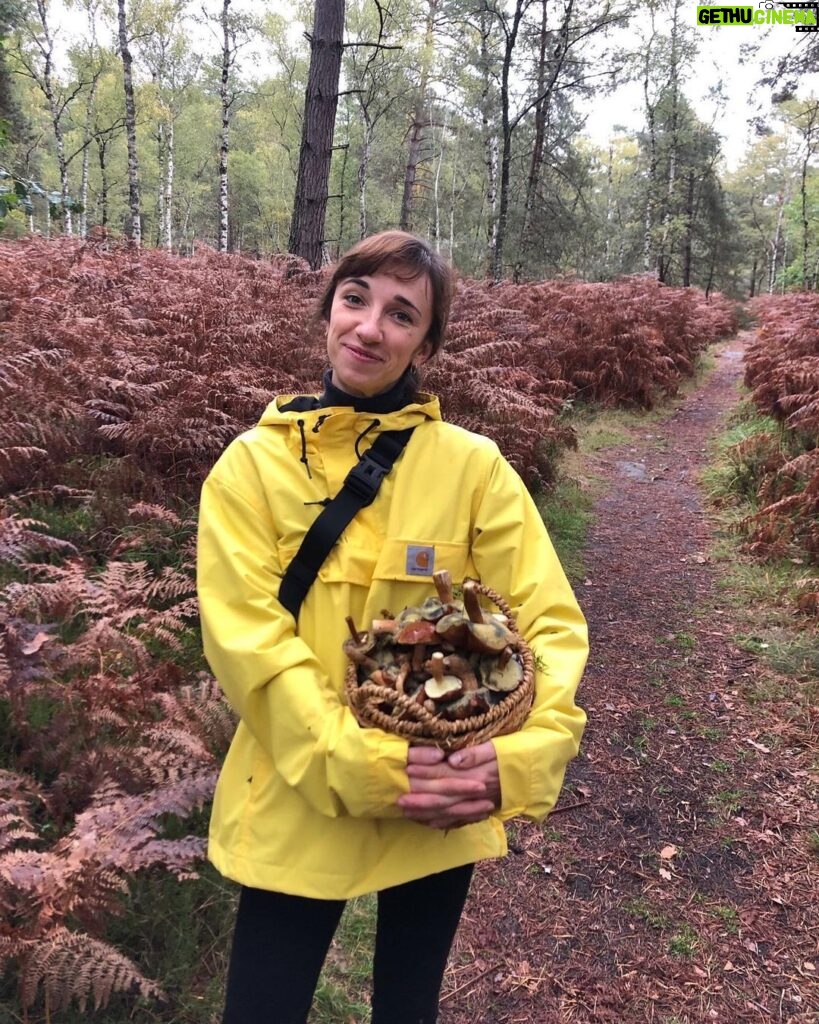 Juliane Wurm Instagram - Decided to eat vegan for a month (1 or maybe 2 cheat days included) and got introduced to searching mushrooms recently :) so, vegan recipe recommendations (with or without mushrooms) are welcome!