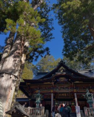 Jun Sena Instagram - ⁡
⁡
雲ひとつない晴天の下、出会ってからかれこれ25年になる友人と三峯神社へ行って参りました。
⁡
「MAHOROBA」という作品でヤマトタケルを演じた時から、行きたかったのになかなか行けなかった場所。
やっと参拝する事ができました。
⁡
一緒に参拝した友人は、私にとってMAHOROBAでいうところのサルメとサダルのような存在です。
いつもここぞという時に手を差し伸べ、支えてくれる、頼りになる友です。
久しぶりにゆっくり語り合い、綺麗な空気を吸い、坂道や階段に少々息切れする己れらに年輪を感じる笑、いい時間でございました。
⁡
今、この時、この方と共に参拝する事に意味があるんだろうな……きっと。
⁡
⁡
#三峯神社
#伊弉諾尊
#伊弉册尊
#日本武尊
#ヤマトタケル
#友よ
#いつもありがとう