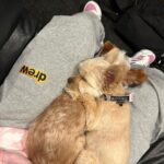 Justin Bieber Instagram -