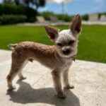 Justin Bieber Instagram - Oscar appreciation post. Love you buddy.