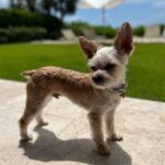 Justin Bieber Instagram - Oscar appreciation post. Love you buddy.