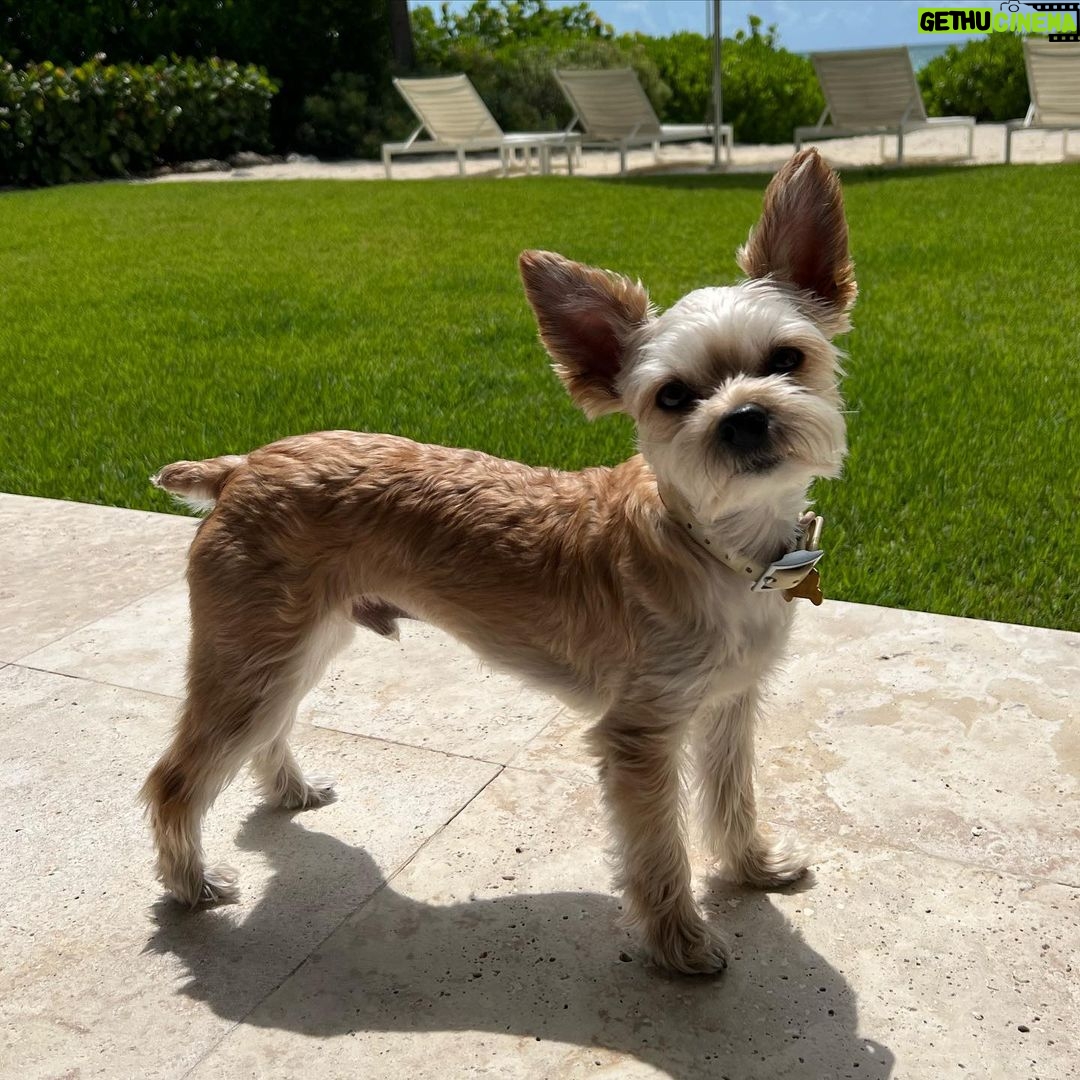 Justin Bieber Instagram - Oscar appreciation post. Love you buddy.