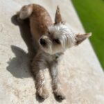 Justin Bieber Instagram - Oscar appreciation post. Love you buddy.