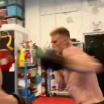 Justin Howell Instagram - Name that combo 🤣🌪️👊🏼🤛🏼✊🏼🤜🏼 .⁣ @martialarts.am @martialarts_n1 .⁣ 🎵 snakes - @thisispvris & @miyavi_ishihara
