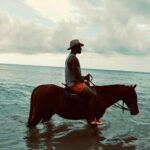 Justin Marcel McManus Instagram - So how exactly can I get a horse to NYC?? Such Beautiful creatures man! . #jamaica #horseback #vacationmode #justinmarcelmcmanus Montego Bay - Jamaica