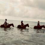 Justin Marcel McManus Instagram - So how exactly can I get a horse to NYC?? Such Beautiful creatures man! . #jamaica #horseback #vacationmode #justinmarcelmcmanus Montego Bay - Jamaica