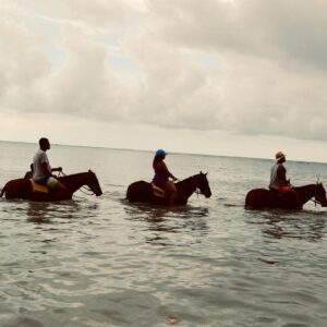 Justin Marcel McManus Instagram - So how exactly can I get a horse to NYC?? Such Beautiful creatures man! 
.
#jamaica #horseback #vacationmode #justinmarcelmcmanus