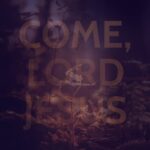 Justin Welby Instagram - We often talk of Christmas as a time of hope fulfilled. In the birth of Christ, as the famous carol goes, ‘the hope and fears of all the years are met in thee tonight.’ But Advent is the time before that hope is fulfilled – the time when our hopes have not yet been answered, and yet we are challenged to continue hoping. During the talks on Northern Ireland at the time of the Troubles, a British Minister involved was asked, ‘Minister, are you optimistic?’ ‘No,’ he replied, ‘but I am hopeful.’ Vaclav Havel, the former President of then Czechoslovakia, said, ‘Hope is definitely not the same thing as optimism. It is not the conviction that something will turn out well but the certainty that something makes sense, regardless of how it turns out.’ Hope is the quiet certainty that, in Christ, all things will, one day, be made right, even if we don’t know how yet. Optimism depends on ourselves. It looks inwards. It believes that we can fix things. But when things don’t turn out exactly how we want, it can lead to despair. Hope looks to God alone. In him, all our hopes will be fulfilled.