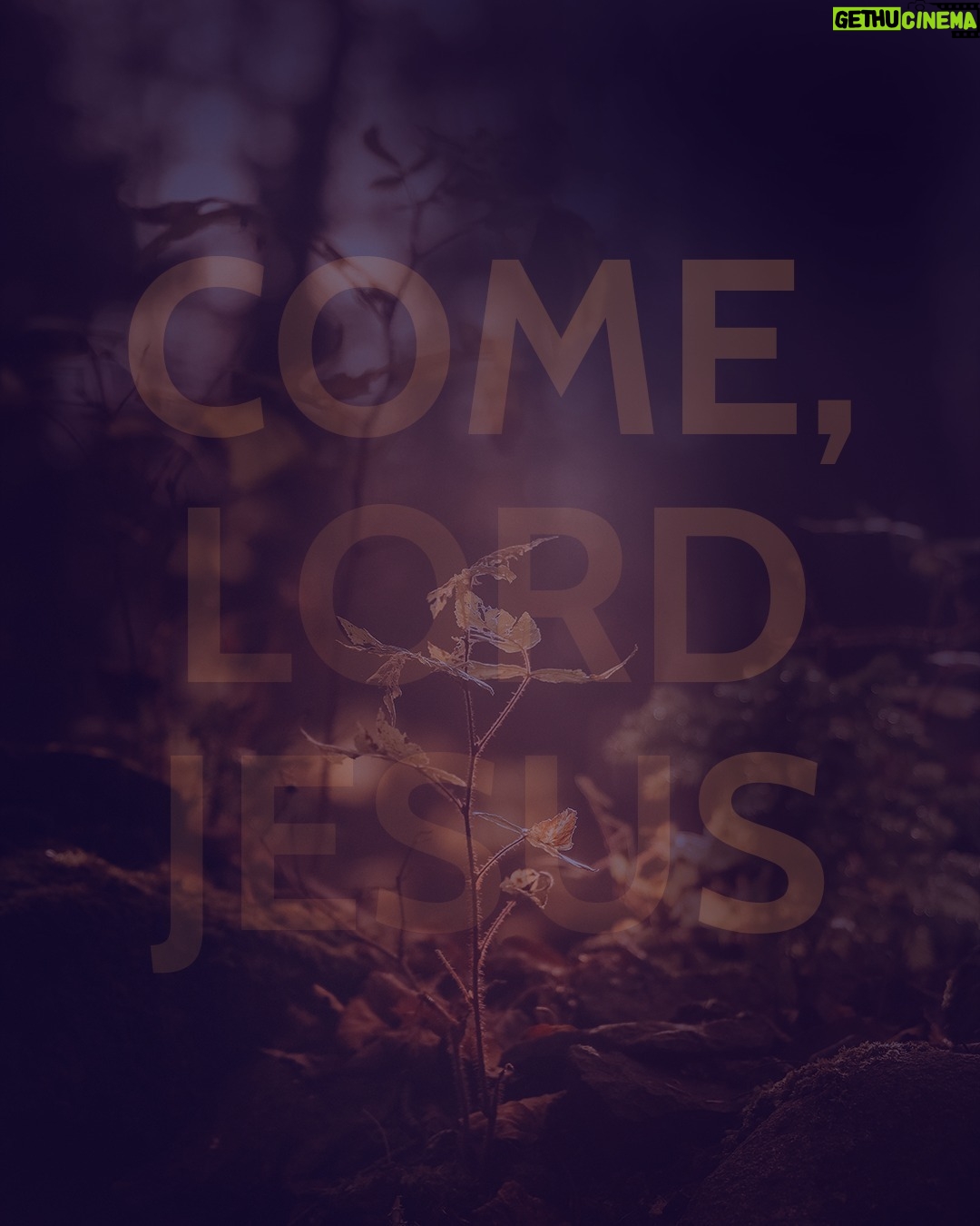 Justin Welby - 852 Likes - We often talk of Christmas as a time of hope fulfilled. In the birth of Christ, as the famous carol goes, ‘the hope and fears of all the years are met in thee tonight.’
But Advent is the time before that hope is fulfilled – the time when our hopes have not yet been answered, and yet we are challenged to continue hoping.
During the talks on Northern Ireland at the time of the Troubles, a British Minister involved was asked, ‘Minister, are you optimistic?’
‘No,’ he replied, ‘but I am hopeful.’
Vaclav Havel, the former President of then Czechoslovakia, said, ‘Hope is definitely not the same thing as optimism. It is not the conviction that something will turn out well but the certainty that something makes sense, regardless of how it turns out.’
Hope is the quiet certainty that, in Christ, all things will, one day, be made right, even if we don’t know how yet.
Optimism depends on ourselves. It looks inwards. It believes that we can fix things. But when things don’t turn out exactly how we want, it can lead to despair.
Hope looks to God alone. In him, all our hopes will be fulfilled.