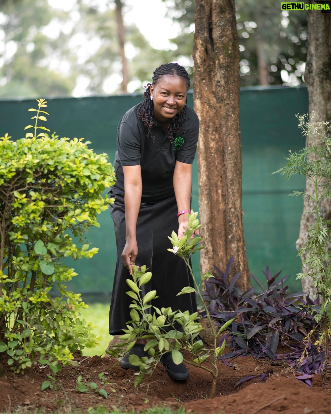 Justin Welby Instagram - You can help churches share God’s love around the world this Christmas through the Anglican Communion Fund’s @biggiveorg #ChristmasChallenge. Through your giving last year, the ACF supported the Anglican Church in Kenya in planting for a sustainable future. Training was provided to local church leaders and climate champions to implement a Communion Forest Project, preserving biodiversity and improving ecosystems in the wake of deforestation. Education was also provided in schools and churches to encourage care for creation – which is more important now than ever. Until noon tomorrow, each donation will be doubled. Show your support via the link in bio.