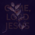 Justin Welby Instagram - Today is the first Sunday of Advent. It marks the beginning of a season of waiting, a dark season of longing for the lights and warmth of Christmas. We find waiting very difficult. Waiting confronts the illusion that we are in control. It’s very easy to believe this in our modern world, where technology provides us with any information we can dream of instantly, where our infrastructure and modern medicine insulates us from our precariousness and fragility. Waiting reminds us of our powerlessness in our lives in so many ways. We recognise our inability to predict the future, to know the outcome of situations we long to see resolved. To realise we are not in control of our lives can feel hugely shocking and destabilising. And yet at Advent, we reflect on the fact that the one we are waiting for is the one who we can ask to be in control of our lives. This one does not come with power and fire. He will come, as Rowan Williams writes in his marvellous poem ‘Advent Calendar’, ‘like crying in the night, like blood, like breaking, as the earth writhes to toss him free. He will come like a child.’ I pray that this Advent, you may release all that you are waiting for into the arms of the babe in the manger. In His presence, may our waiting finally cease.