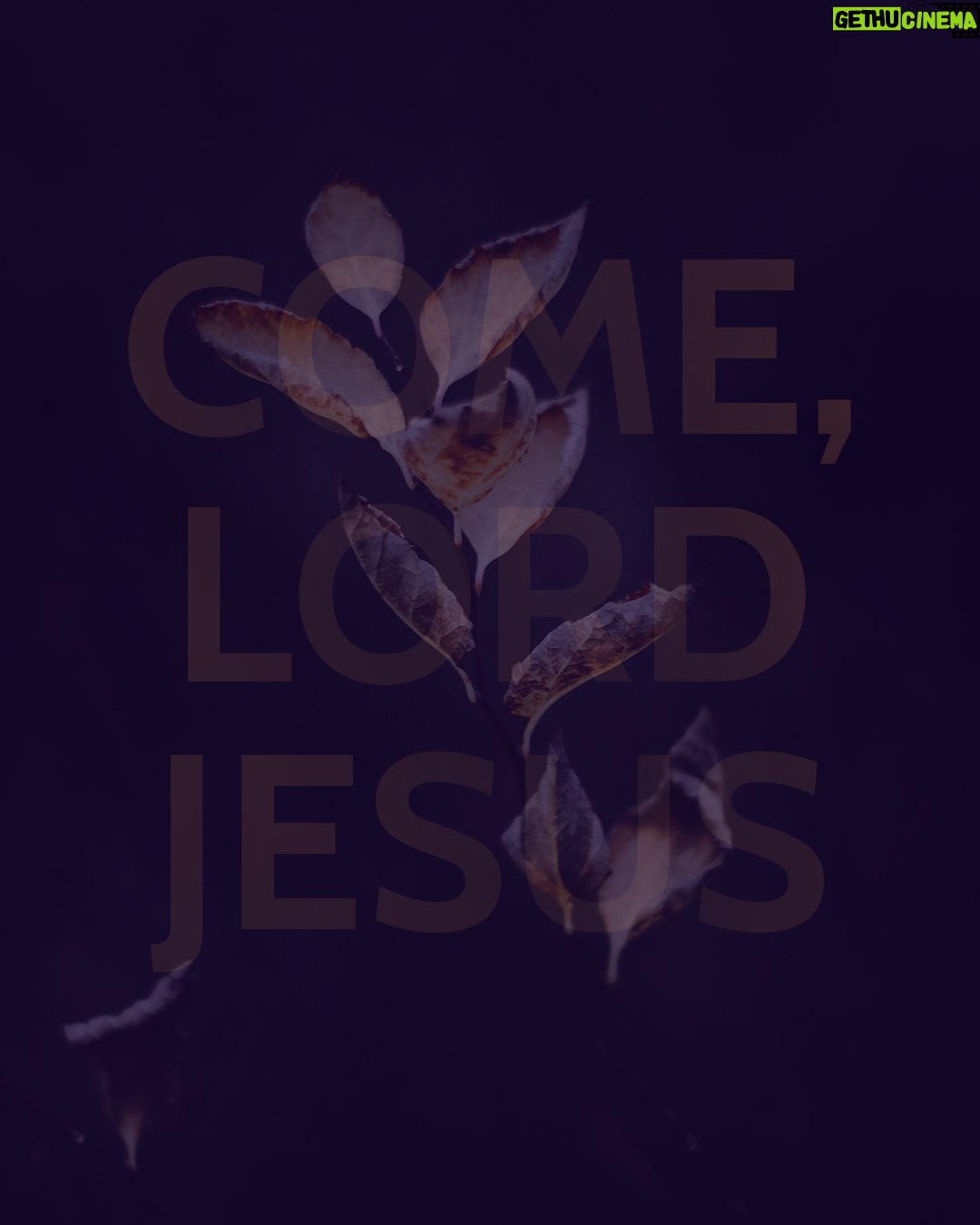 Justin Welby - 802 Likes - Today is the first Sunday of Advent. It marks the beginning of a season of waiting, a dark season of longing for the lights and warmth of Christmas.
We find waiting very difficult.
Waiting confronts the illusion that we are in control. It’s very easy to believe this in our modern world, where technology provides us with any information we can dream of instantly, where our infrastructure and modern medicine insulates us from our precariousness and fragility.
Waiting reminds us of our powerlessness in our lives in so many ways. We recognise our inability to predict the future, to know the outcome of situations we long to see resolved.
To realise we are not in control of our lives can feel hugely shocking and destabilising. And yet at Advent, we reflect on the fact that the one we are waiting for is the one who we can ask to be in control of our lives.
This one does not come with power and fire. He will come, as Rowan Williams writes in his marvellous poem ‘Advent Calendar’, ‘like crying in the night, like blood, like breaking, as the earth writhes to toss him free. He will come like a child.’
I pray that this Advent, you may release all that you are waiting for into the arms of the babe in the manger. In His presence, may our waiting finally cease.