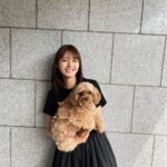 Kaho Mizutani Instagram – 小型犬のはず🐻🐾