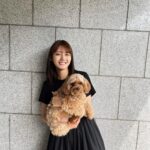 Kaho Mizutani Instagram - 小型犬のはず🐻🐾