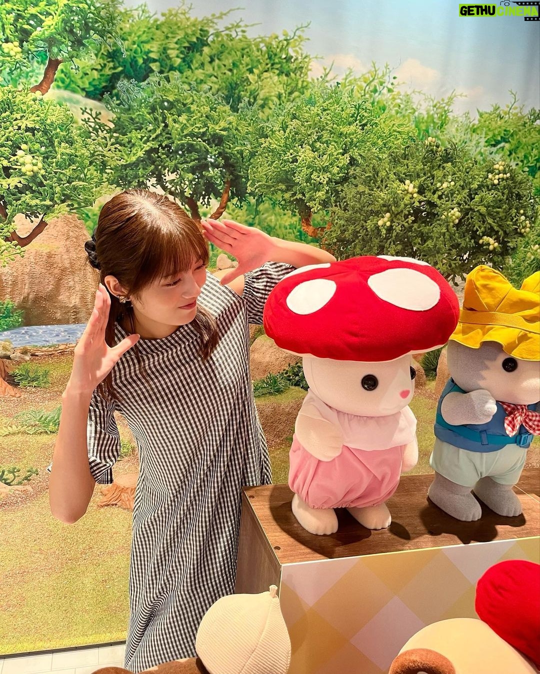 Kaho Mizutani Instagram - シルバニア推し活🍄🐰 ちかちゃんと〜! 赤ちゃん達に癒されたー👶🏻♡