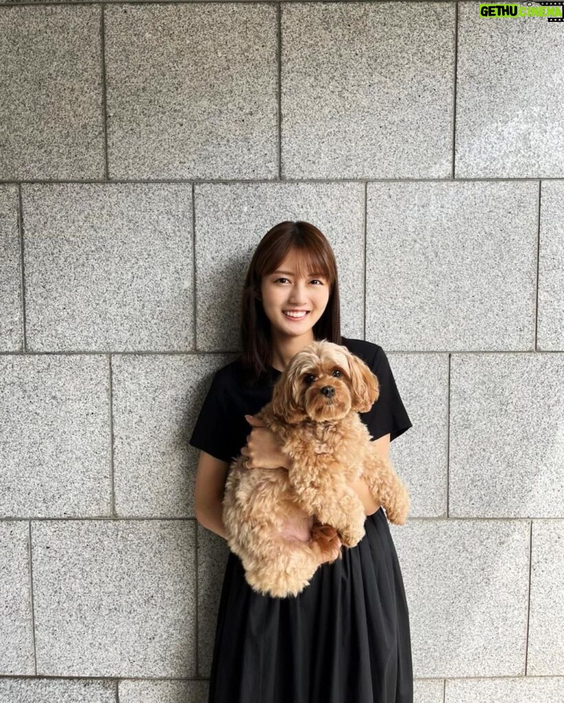 Kaho Mizutani Instagram - 小型犬のはず🐻🐾
