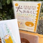 Kaho Mizutani Instagram - . モナカのおみくじ引いてきました🐶 末吉犬らしい…🐾 今年も楽しい思い出沢山作ろう🎀