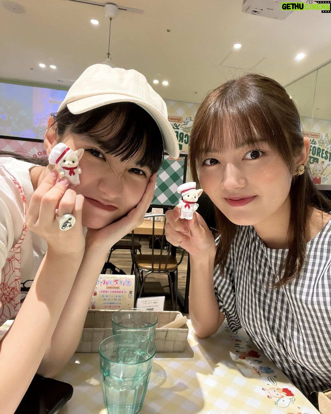 Kaho Mizutani Instagram - シルバニア推し活🍄🐰 ちかちゃんと〜! 赤ちゃん達に癒されたー👶🏻♡