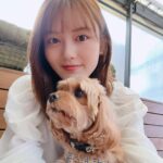 Kaho Mizutani Instagram - Happy Halloween🎃 ファンイベントまであと3日！ 今日もリハーサルしてたよ🫶🏻 会えるの楽しみにしてます〜🐶 ・2023年11月3日(金・祝) 【第一部】開場 12:00 / 開演 12:30 【第二部】開場 15:00 / 開演 15:30 【第三部】開場 18:00 / 開演 18:30 ・会場 シダックスカルチャーホール (東京都渋谷区神南1-12-10 シダックスカルチャービレッジ8F)