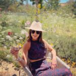 Kaitlan Collins Instagram - —30—